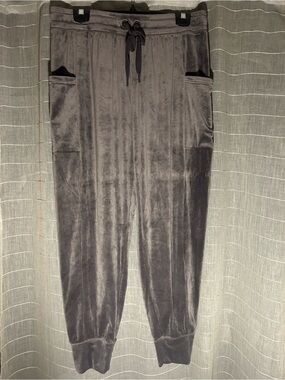 aerie Gray Velour Jogger Pants with Drawstring